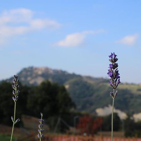 Casale Fontanile Bed And Breakfast Smerillo Extérieur photo